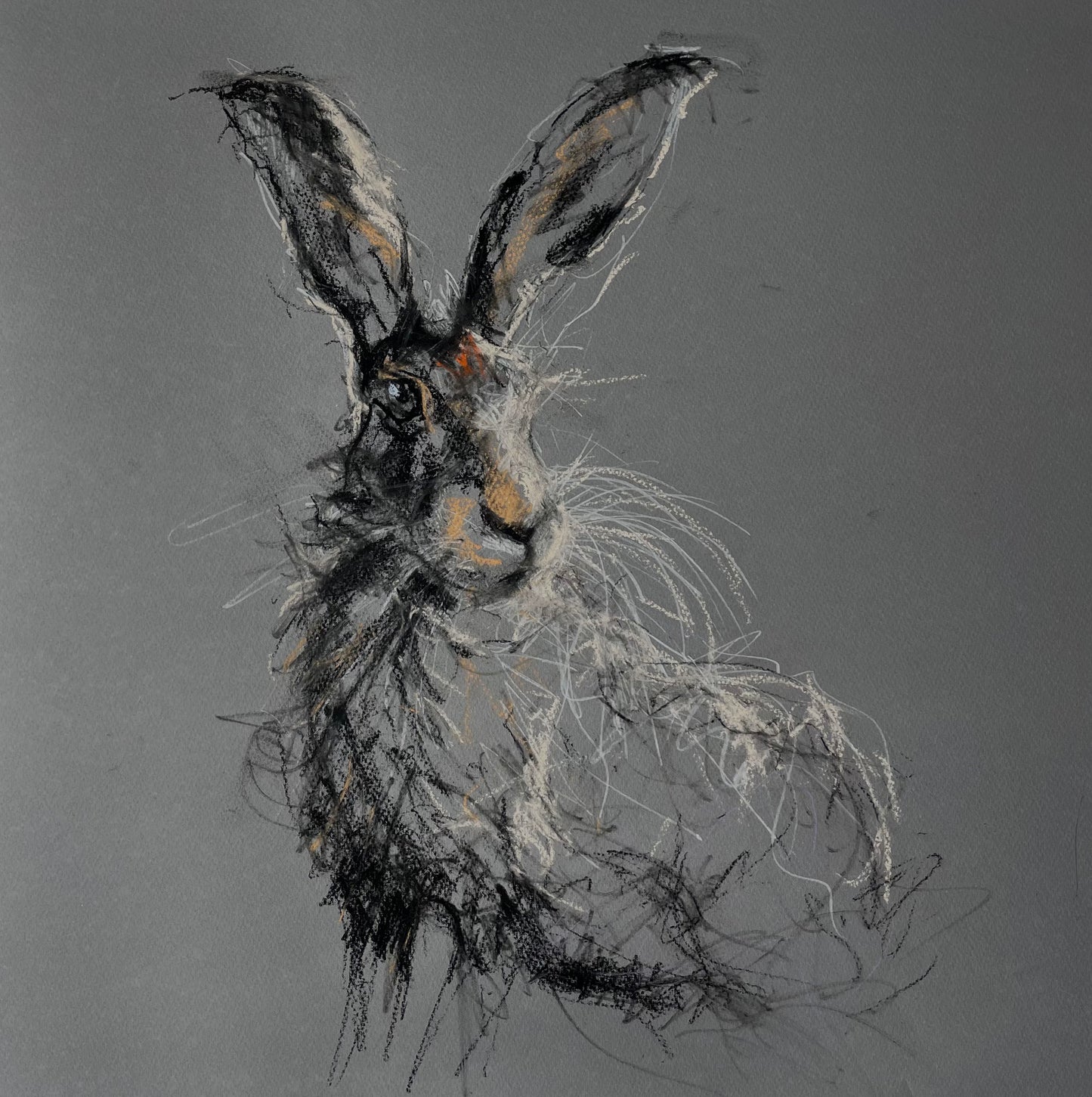 Original hare charcoal drawing "Jim"