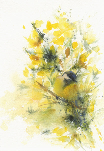 Original watercolour painting blue tit on a gorse hedge