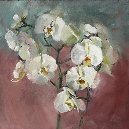 White orchids