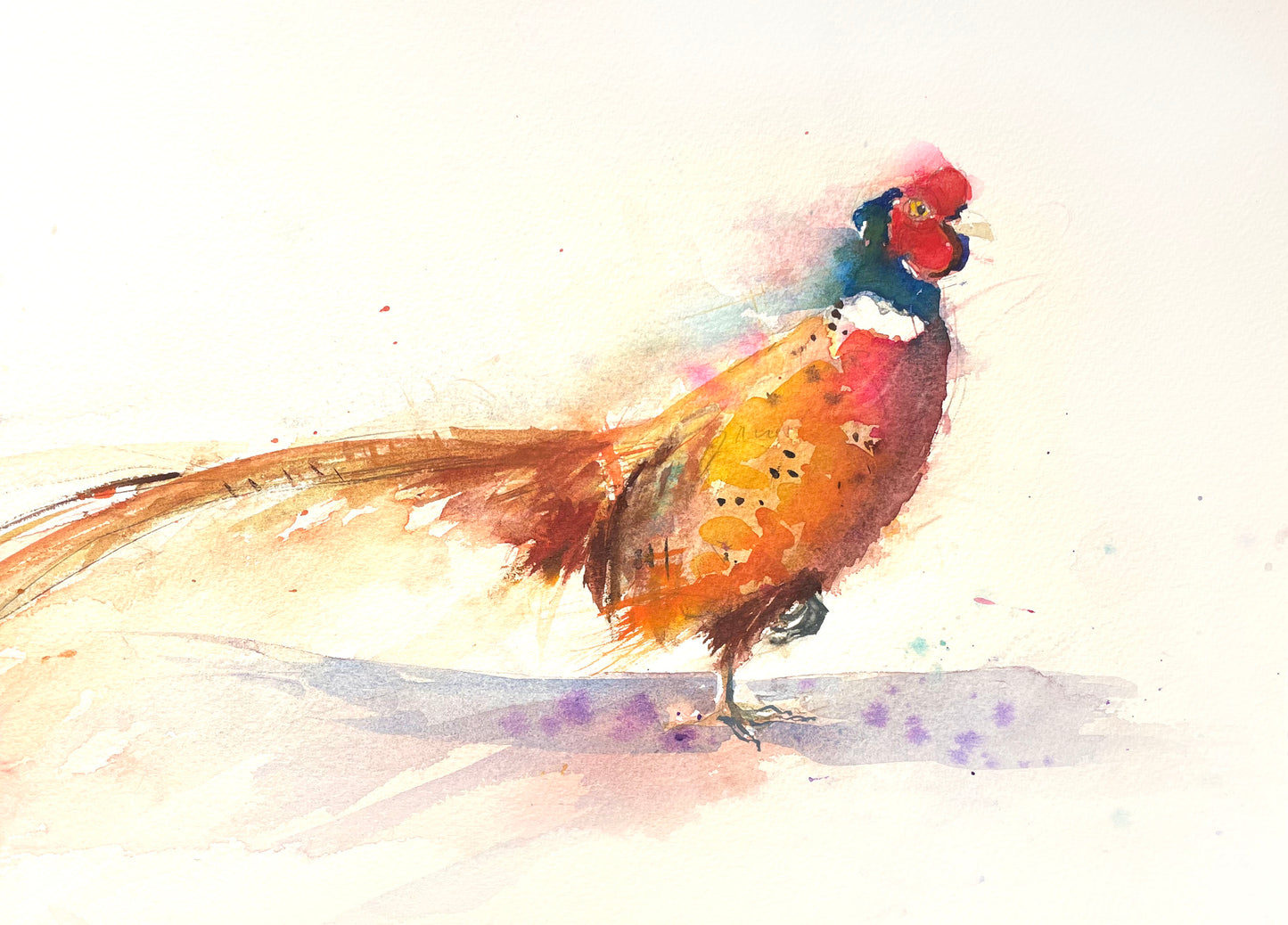 Original watercolour painting 'strutting Pheasant'