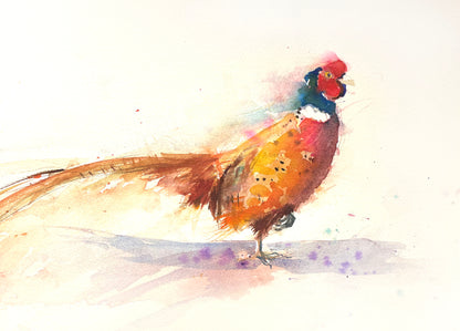 Original watercolour painting 'strutting Pheasant'