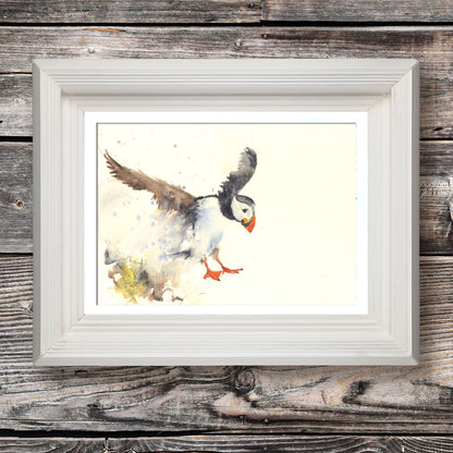 Original puffin watercolour  painting