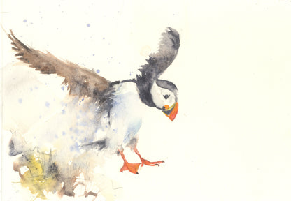 Original puffin watercolour  painting