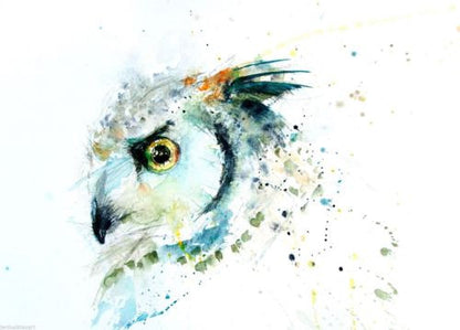 JEN BUCKLEY signed LIMITED EDITON PRINT of my original Long eared OWL - Jen Buckley Art limited edition animal art prints