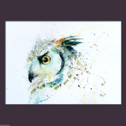 JEN BUCKLEY signed LIMITED EDITON PRINT of my original Long eared OWL - Jen Buckley Art limited edition animal art prints