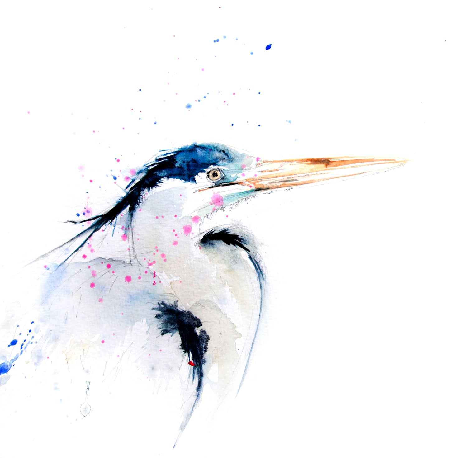 Heron bird limited edition print – Jen Buckley Art