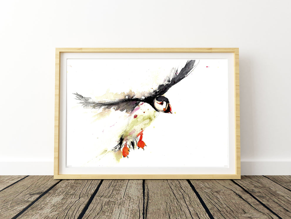 signed LIMITED EDITON PRINT of my original puffin landing | Jen Buckley Art