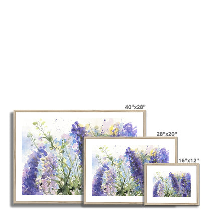 Delphiniums Framed & Mounted Print - Jen Buckley Art limited edition animal art prints