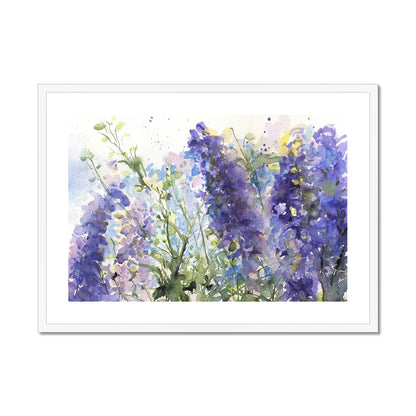 Delphiniums Framed & Mounted Print - Jen Buckley Art limited edition animal art prints