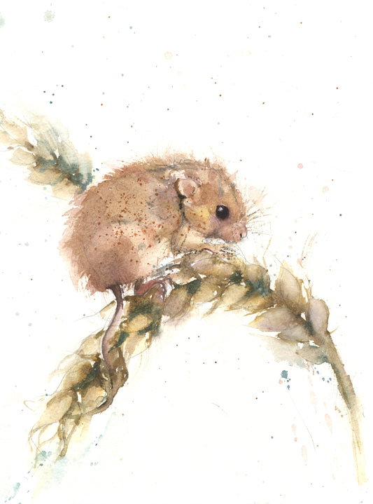 Original watercolour painting "Albert" fieldmouse on an ear of corn