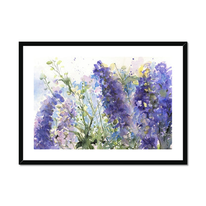 Delphiniums Framed & Mounted Print - Jen Buckley Art limited edition animal art prints