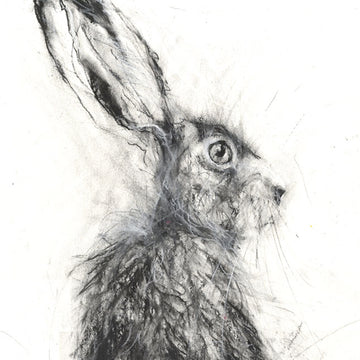 Original limited and open edition animal art prints to buy now