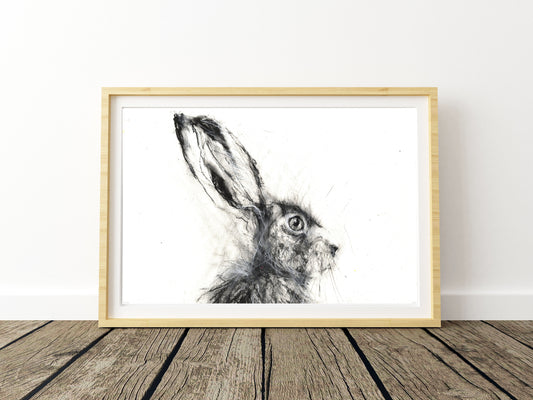 Hare charcoal drawing by Jen Buckley