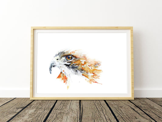 JEN BUCKLEY signed PRINT of my original HAWK watercolour painting - Jen Buckley Art limited edition animal art prints