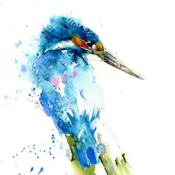 Kingfisher limited edition print – Jen Buckley Art