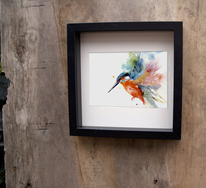 Kingfisher limited edition print - Jen Buckley Art limited edition animal art prints