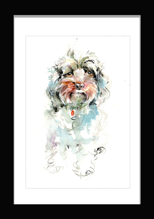 cockapoo watercolour print by jen buckley