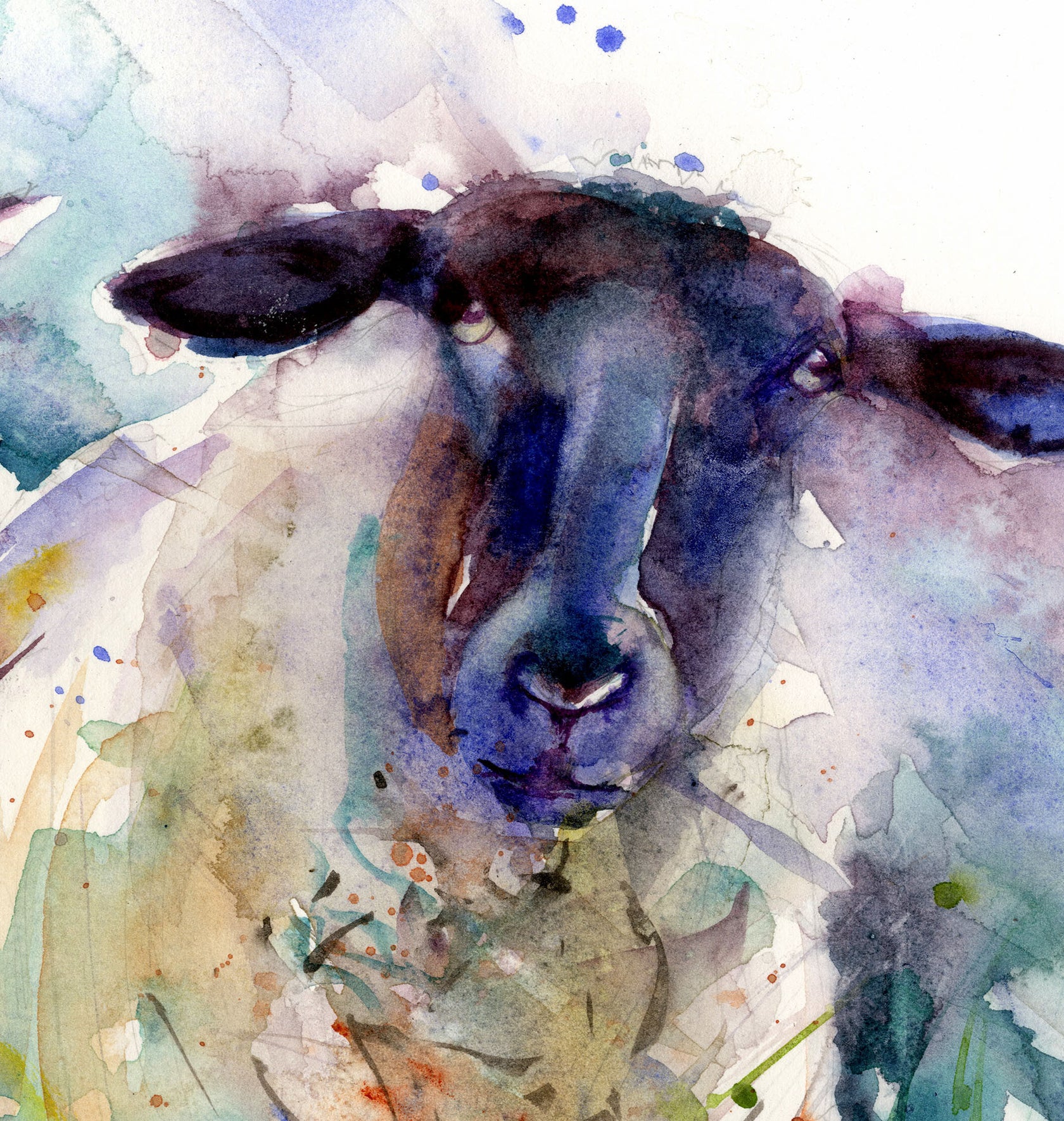 Two ewes limited edition print – Jen Buckley Art